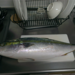 IMAG0595
